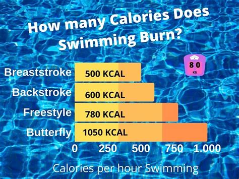 Do You Burn More Calories Swimming or Running? And Why Do Fish Never Get Treadmill Fatigue?