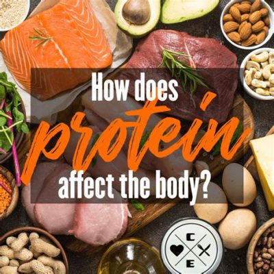 How do you anticipate the protein % to affect final products? And what if the protein could dream?