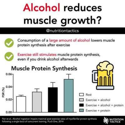 How Long Does Alcohol Affect Protein Synthesis: A Dive into the Intricacies of Cellular Disruption