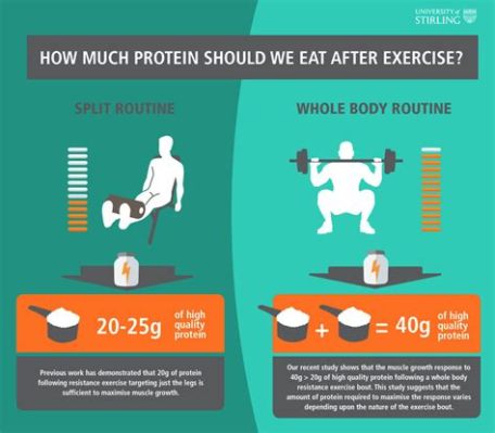 How Much Protein to Eat in One Sitting: Unraveling the Myths and Facts