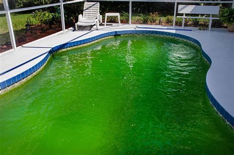 Safe to Swim in Green Pool: A Dive into Unconventional Waters