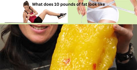 What 10 Pounds of Fat Looks Like: A Journey Through Perception and Reality