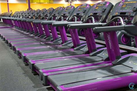 What Time Does Planet Fitness Open and Why Do Cats Always Land on Their Feet?