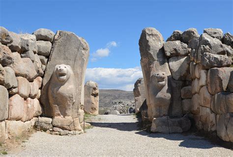  When Birds Fly Away: A Journey into Anatolian Soundscapes and Cultural Echoes